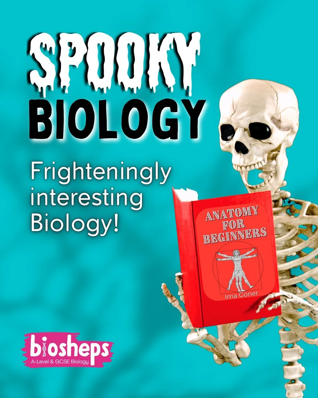 Ok GCSE &amp; A-Level Biology students, I have a question for you&hellip;what&rsquo;s scarier? 

1️⃣ 6 mark evaluate data analysis questions 
2️⃣ remembering all of the reactions in respiration
3️⃣ the fact that exams are 7 months away 

&hellip;a fu