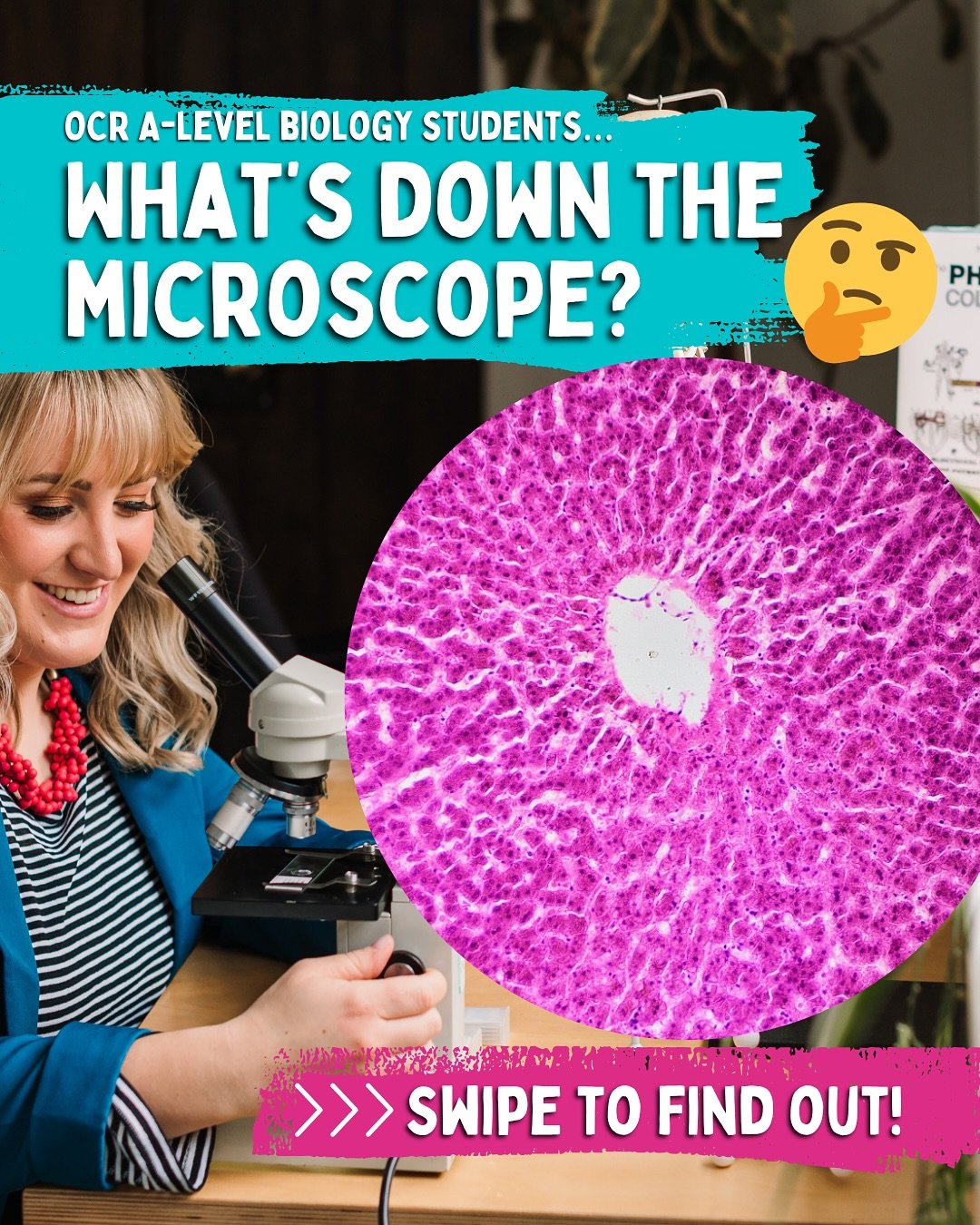 OCR A-Level Biology students&hellip;.can you tell me what&rsquo;s down my microscope today? 🔬 

This is one of my *favourite* organs. And a really distinctive tissue under the light microscope. 

The music&rsquo;s a clue 😉 

OCR love examining hist