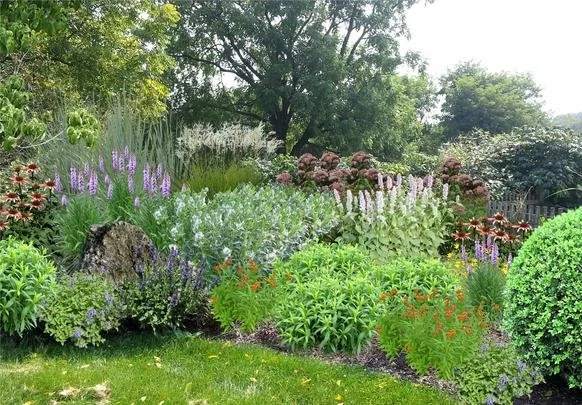 Pollinator-Friendly Design: The Art and Science of Resilient Gardens