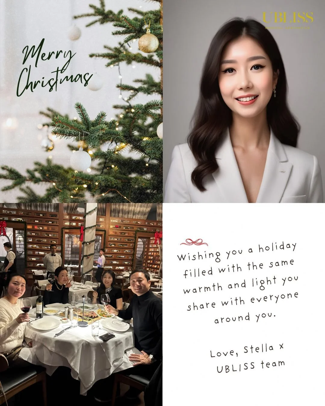 Merry Christmas from the UBLISS team