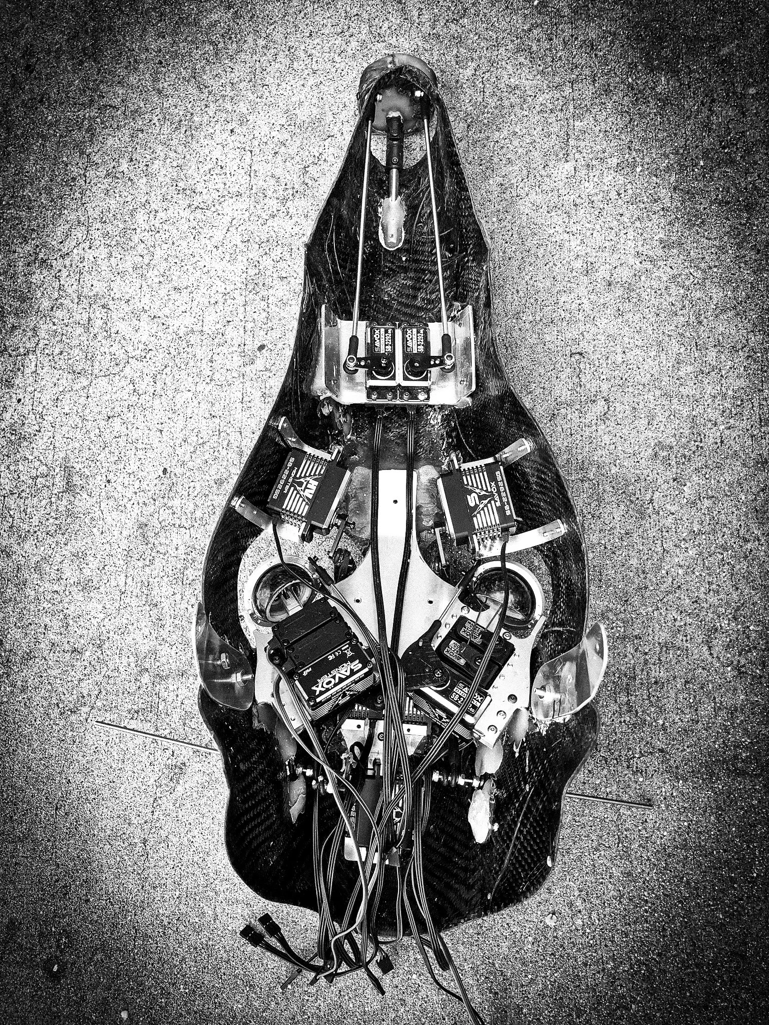 elongated head mech.jpg