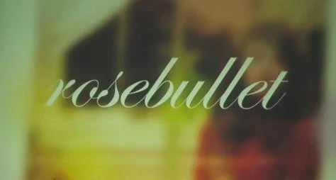 Rosebullet window displays
