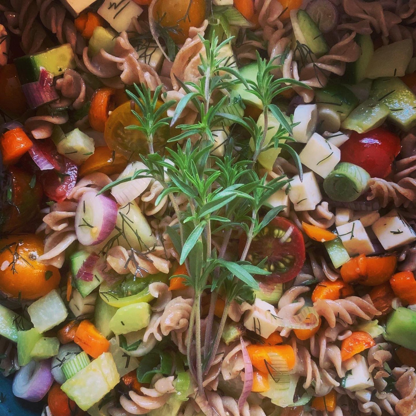 Shelley's Special Pasta Salad