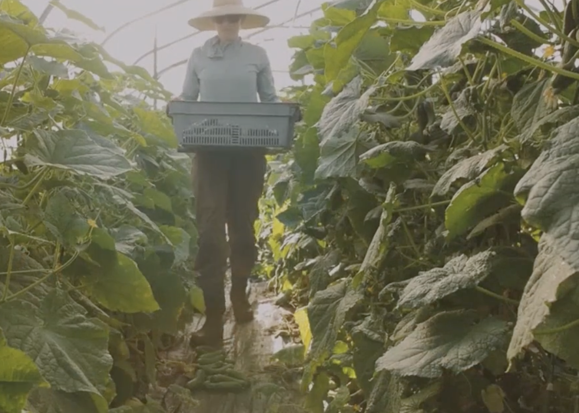 How Lane County Bounty Grew After Switching to Local Food Marketplace