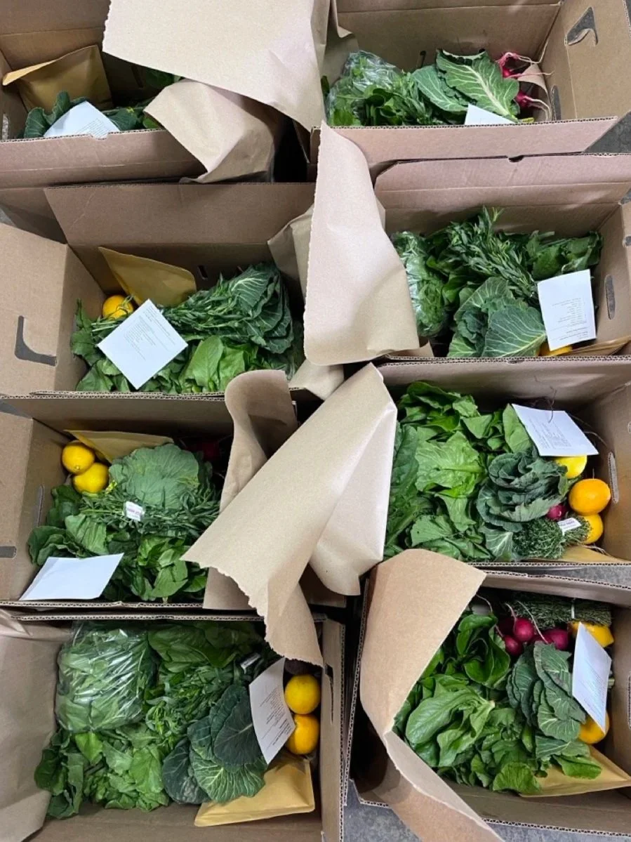 A woman with pink hair giving a thumbs-up while leaning on large labeled plastic storage bins inside a vehicle, surrounded by more bins and paperwork.