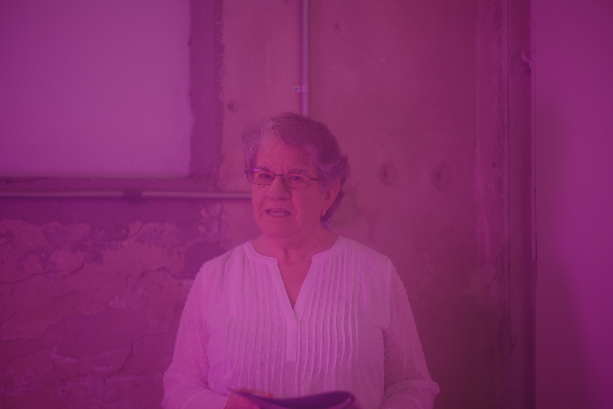 Elaine Mintzer for Speak!