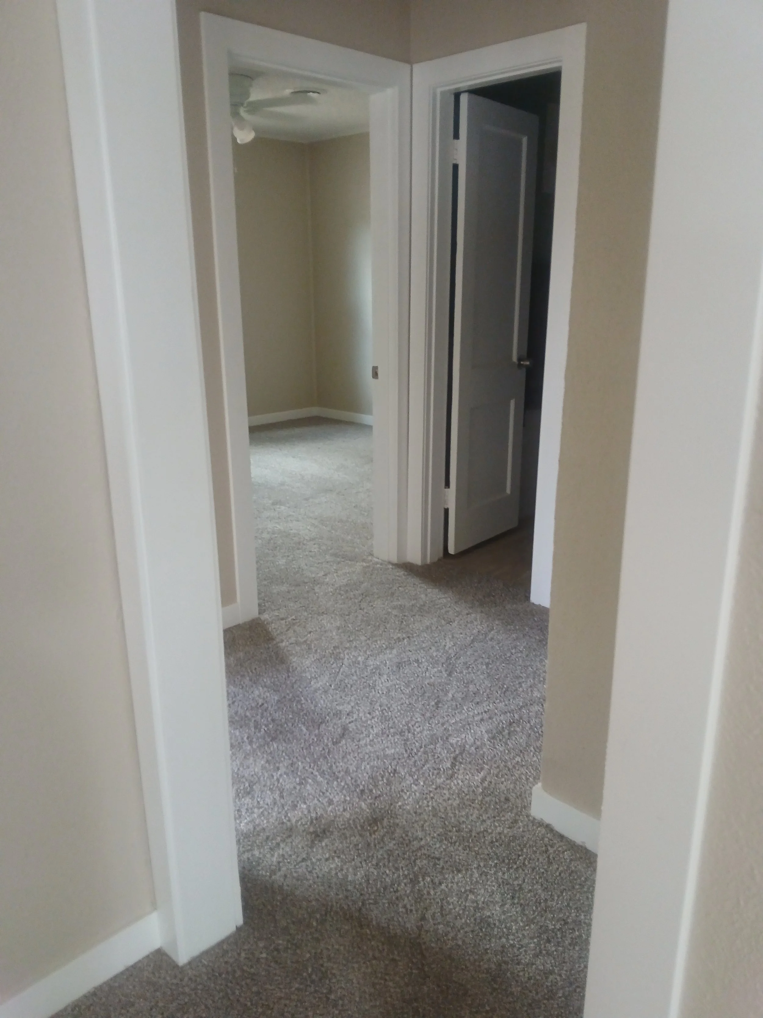 New paint color, new door trim & baseboard