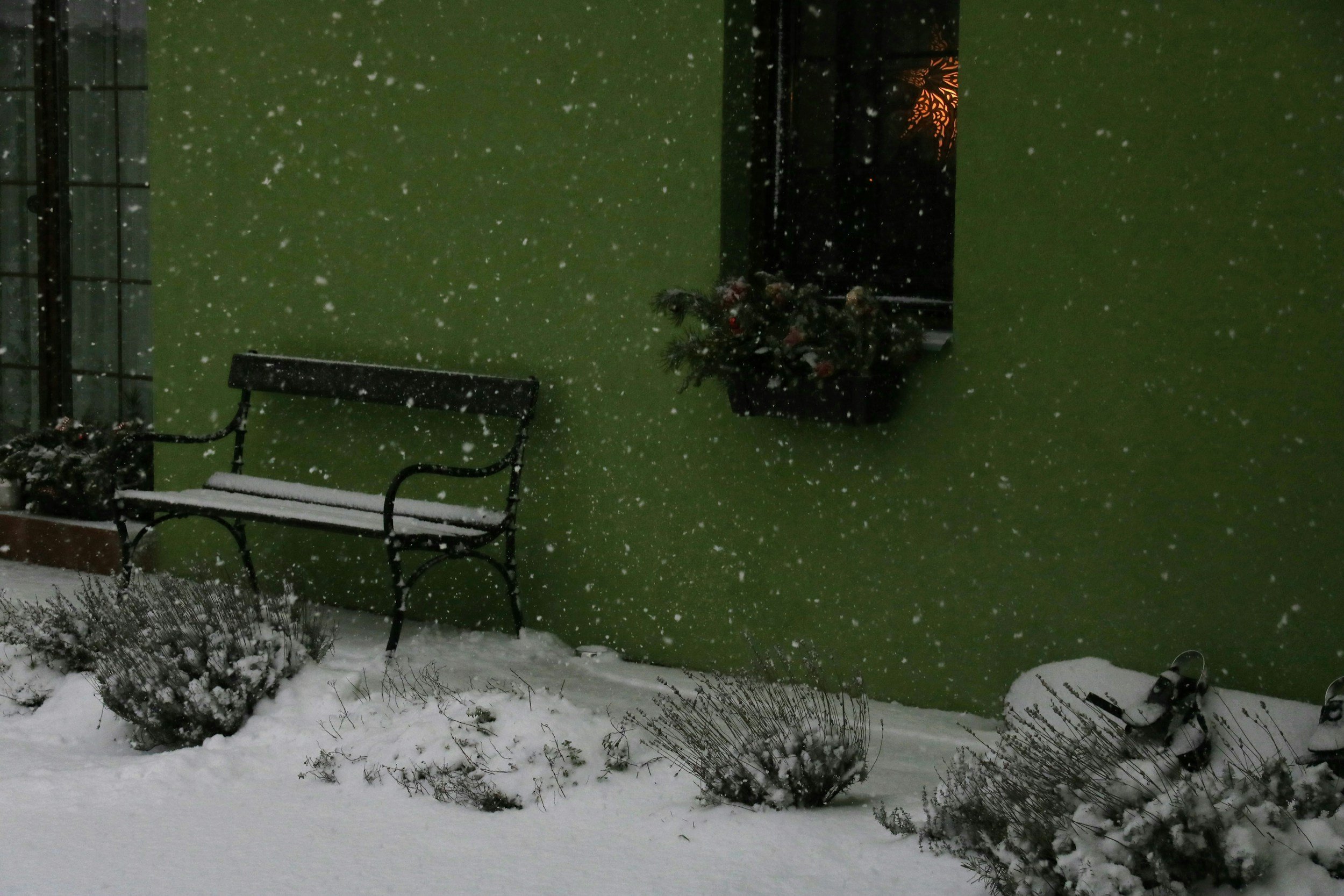 December Landscaping Guide to Dealing with Plants, Irrigation &amp; Snow