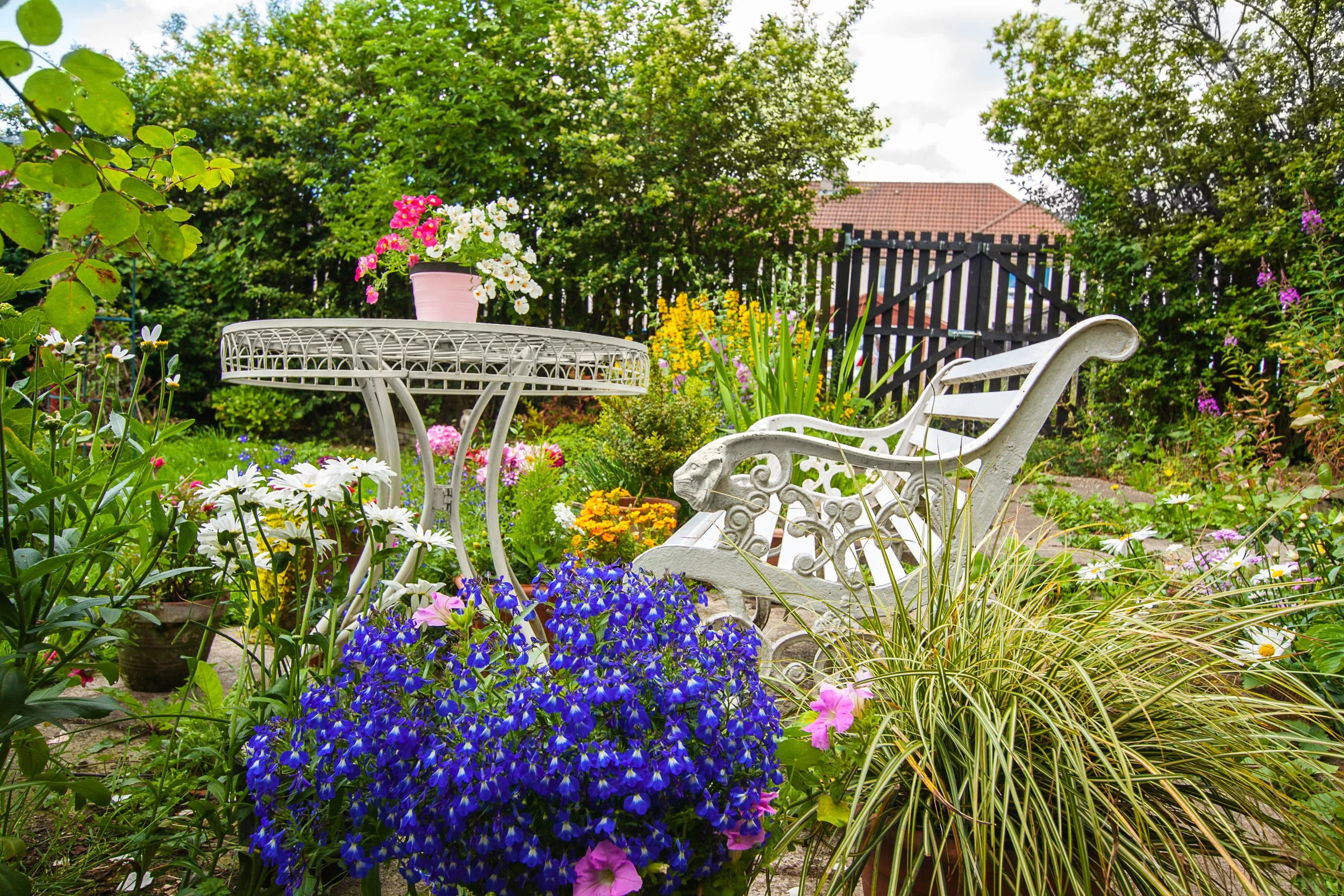 North Shore Biophilic Design: Landscapes That Support Health &amp; Well-Being
