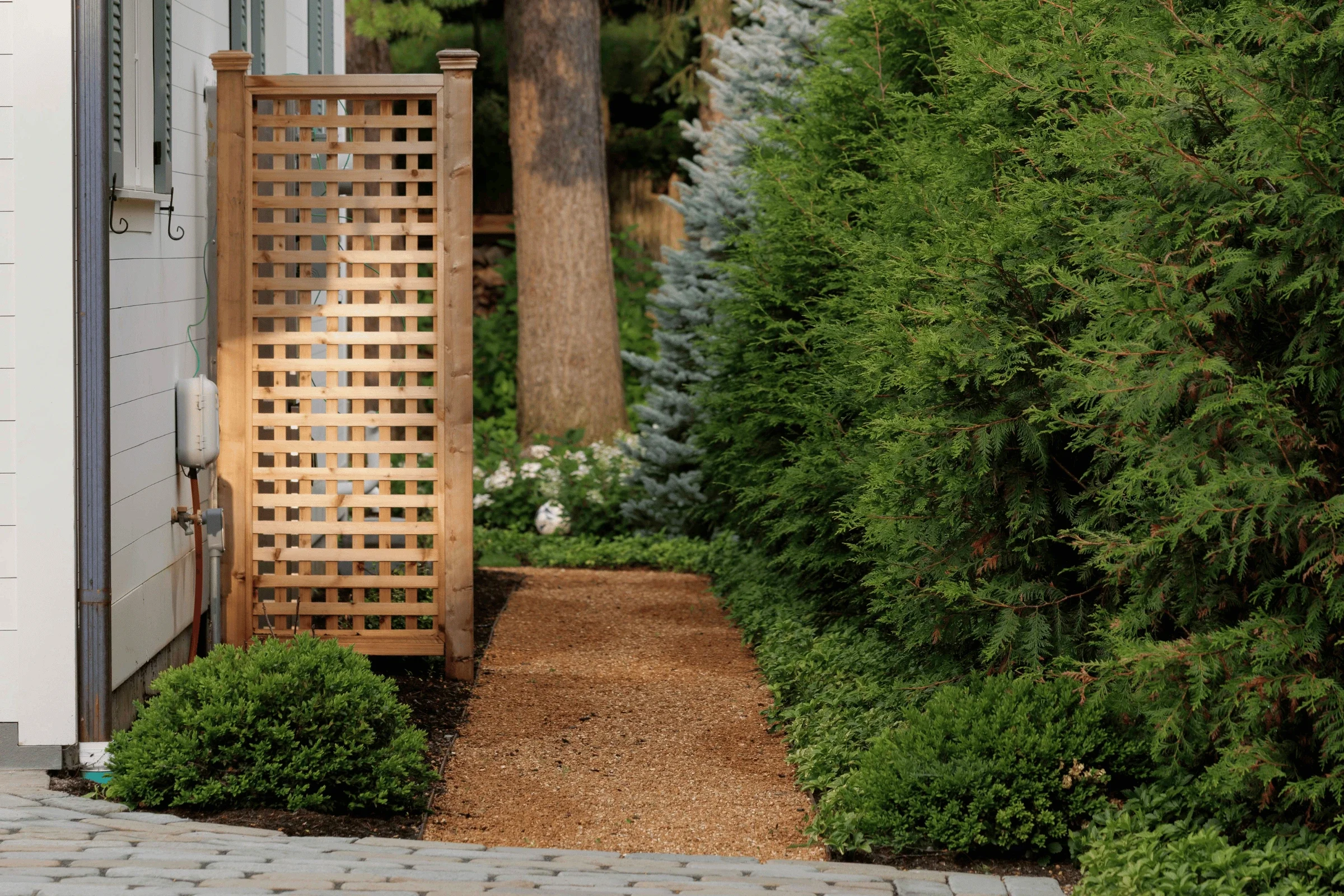 Cedar lattice privacy screen beside a pea gravel side yard path lined with arborvitae on a North Shore property