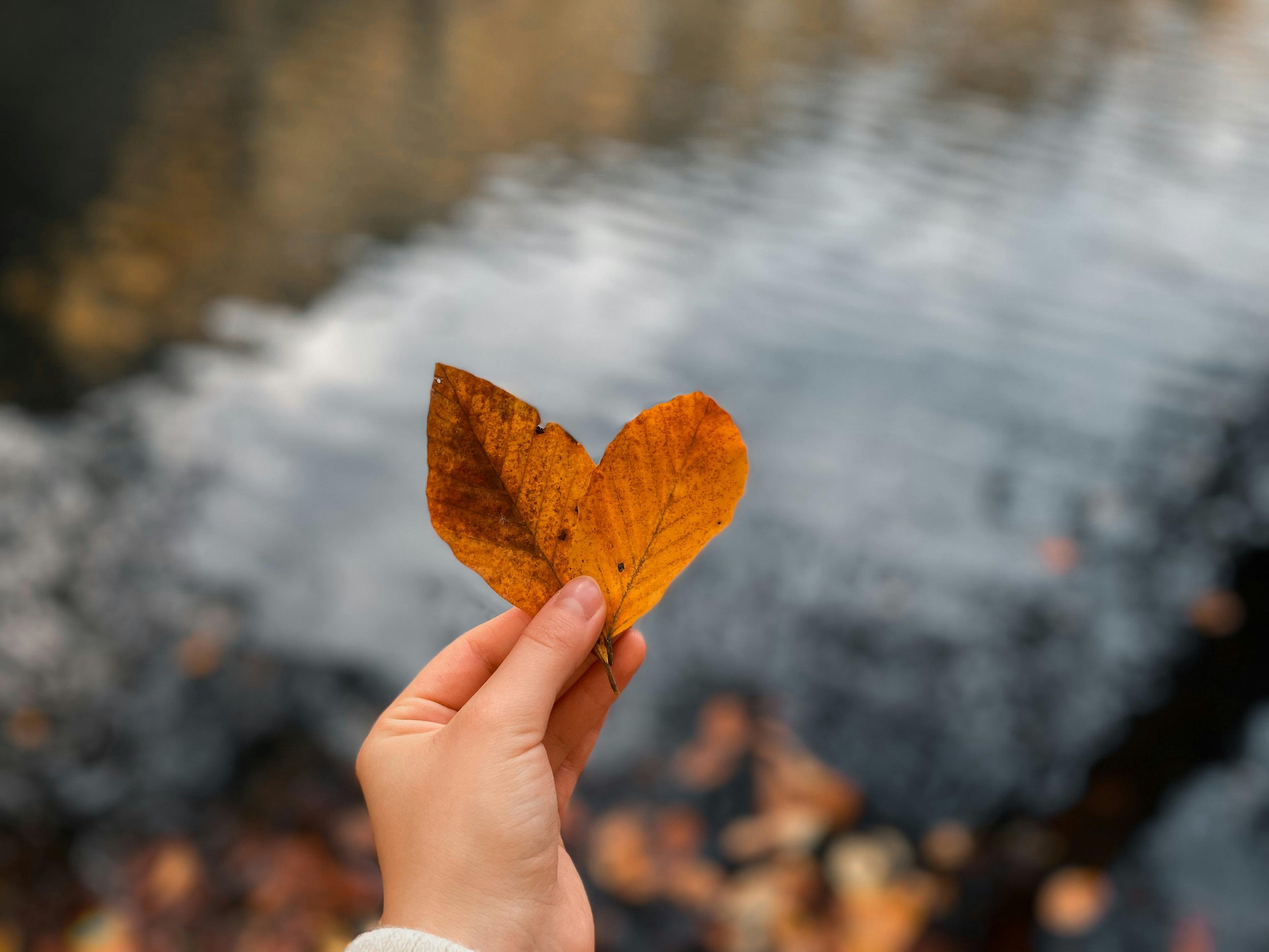 help coping with transitions Virginia Missouri Florida Mississippi