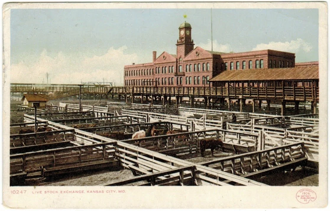 Livestock Exchange Building - Postcard 07.0.jpeg