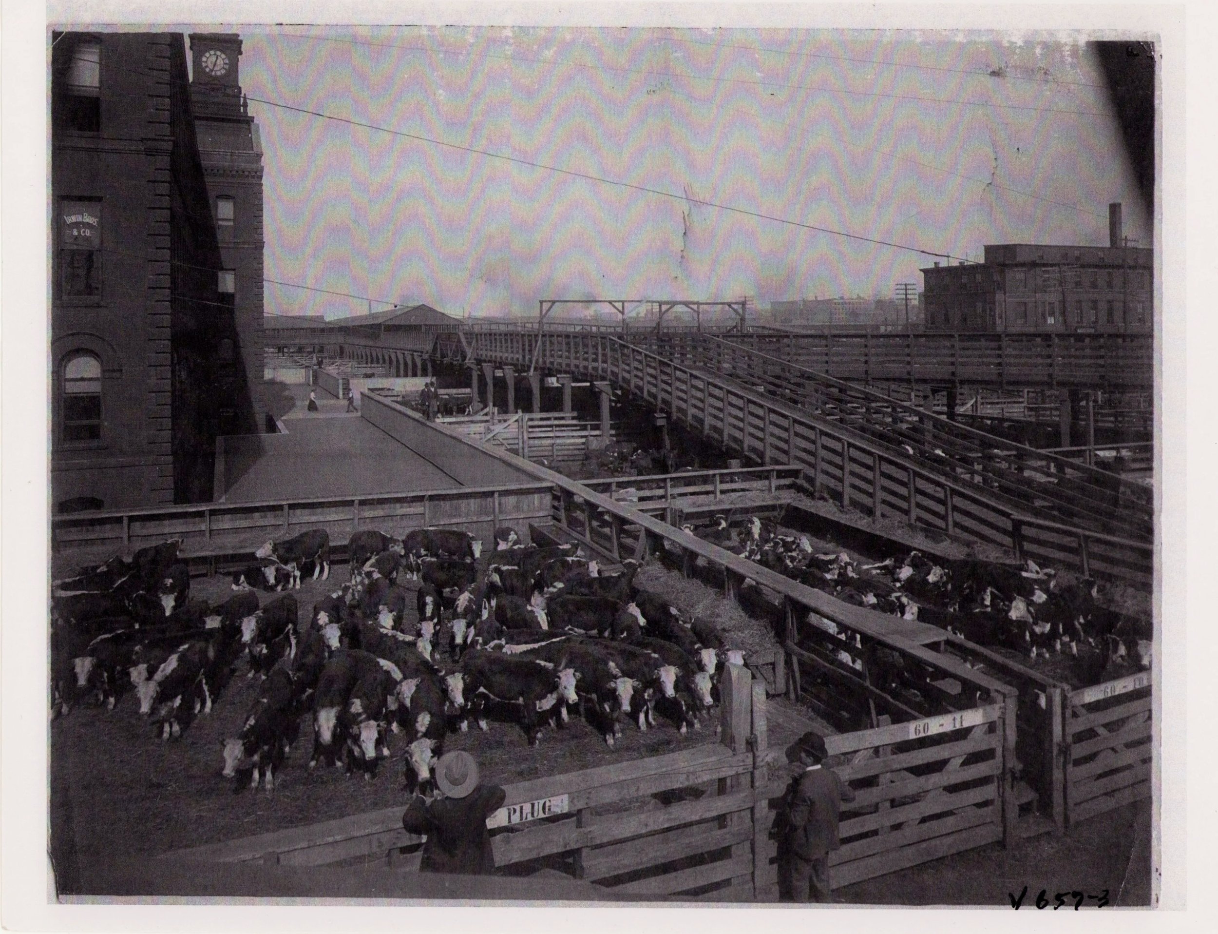Kansas-City-Stock-Yards_Live-Stock-Exchange_West-Bottoms_Historic-Image_004.jpg