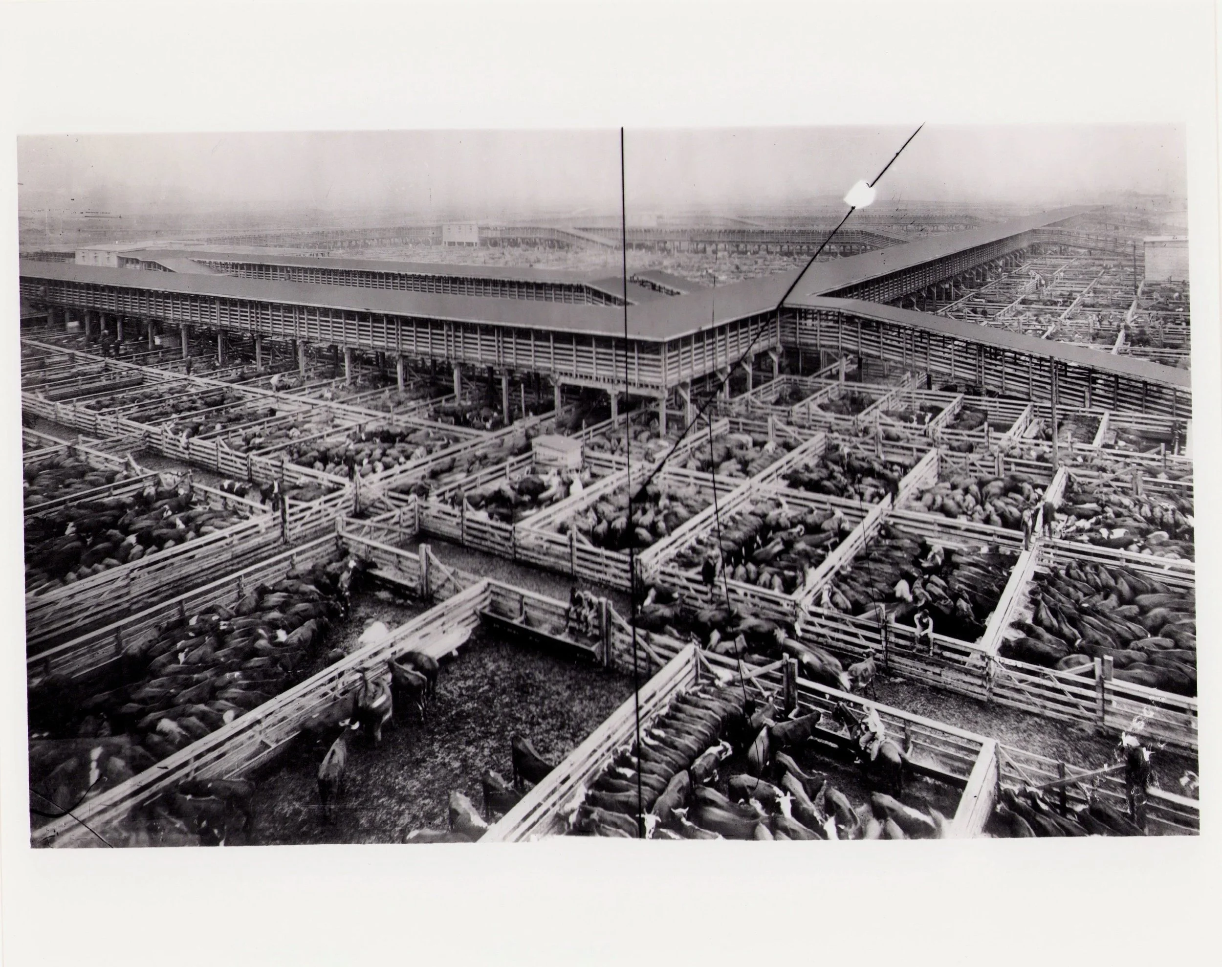 Kansas-City-Stock-Yards_Live-Stock-Exchange_West-Bottoms_Historic-Image_015.jpg