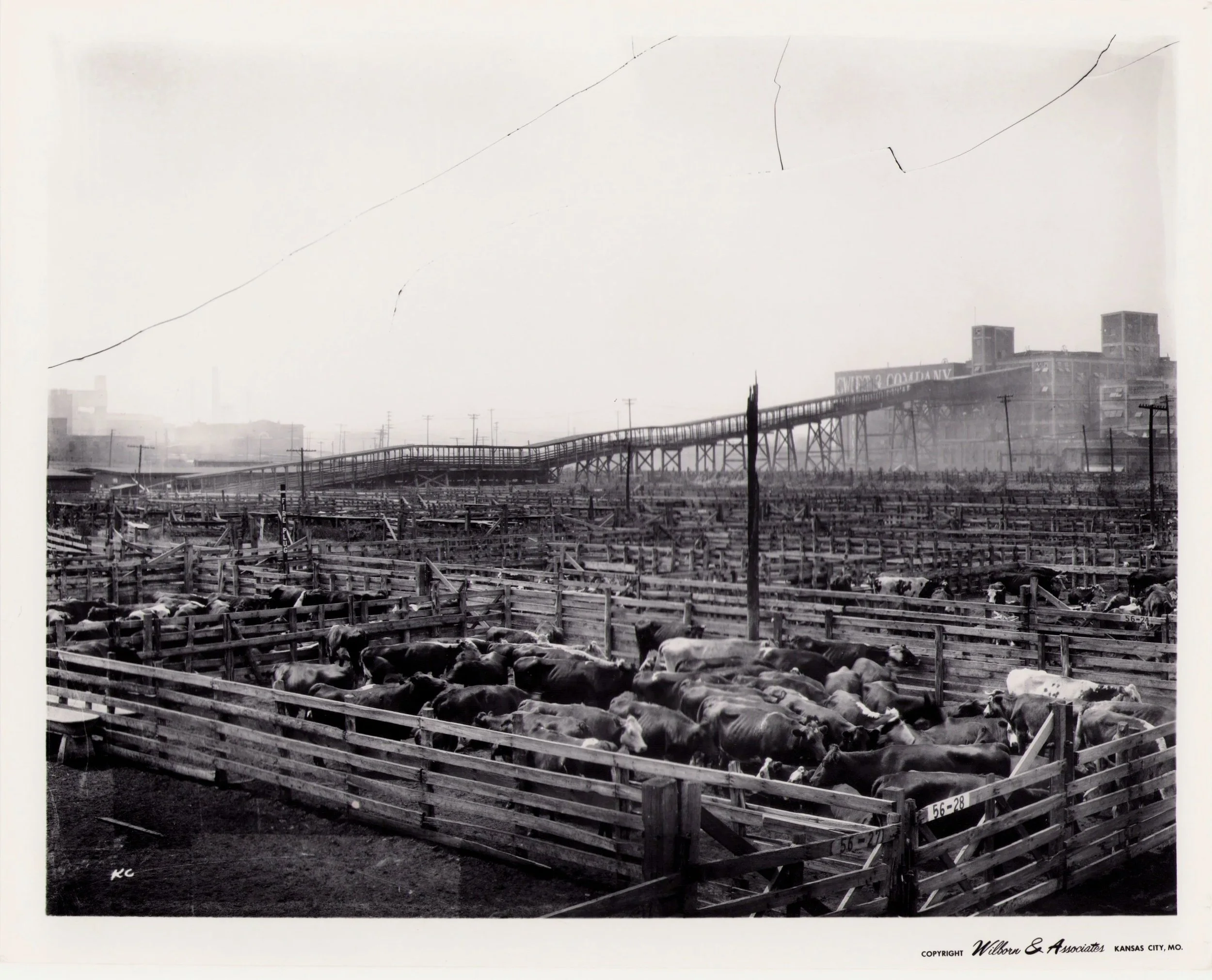 Kansas-City-Stock-Yards_Live-Stock-Exchange_West-Bottoms_Historic-Image_016.jpg