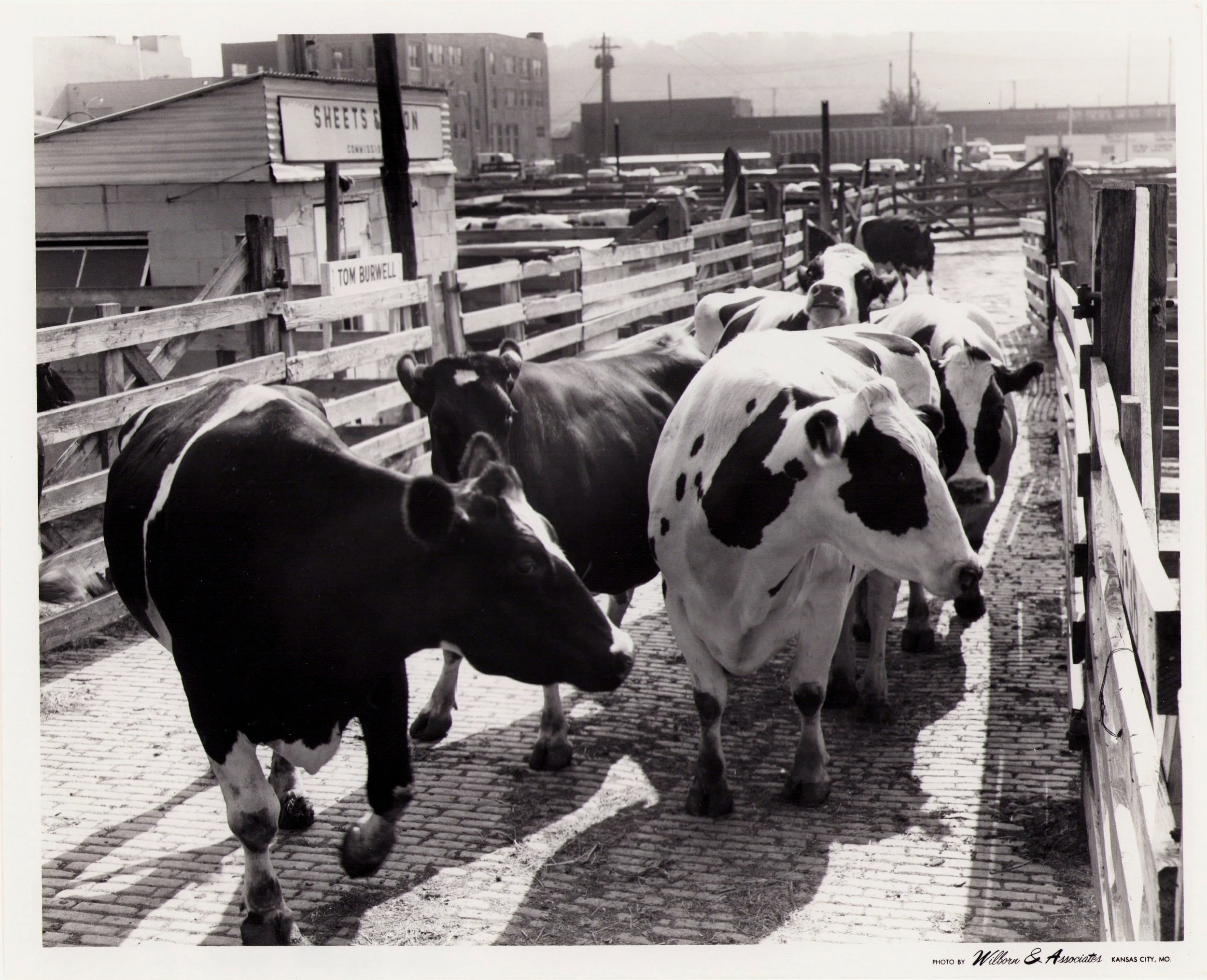 Kansas-City-Stock-Yards_Live-Stock-Exchange_West-Bottoms_Historic-Image_019.jpg