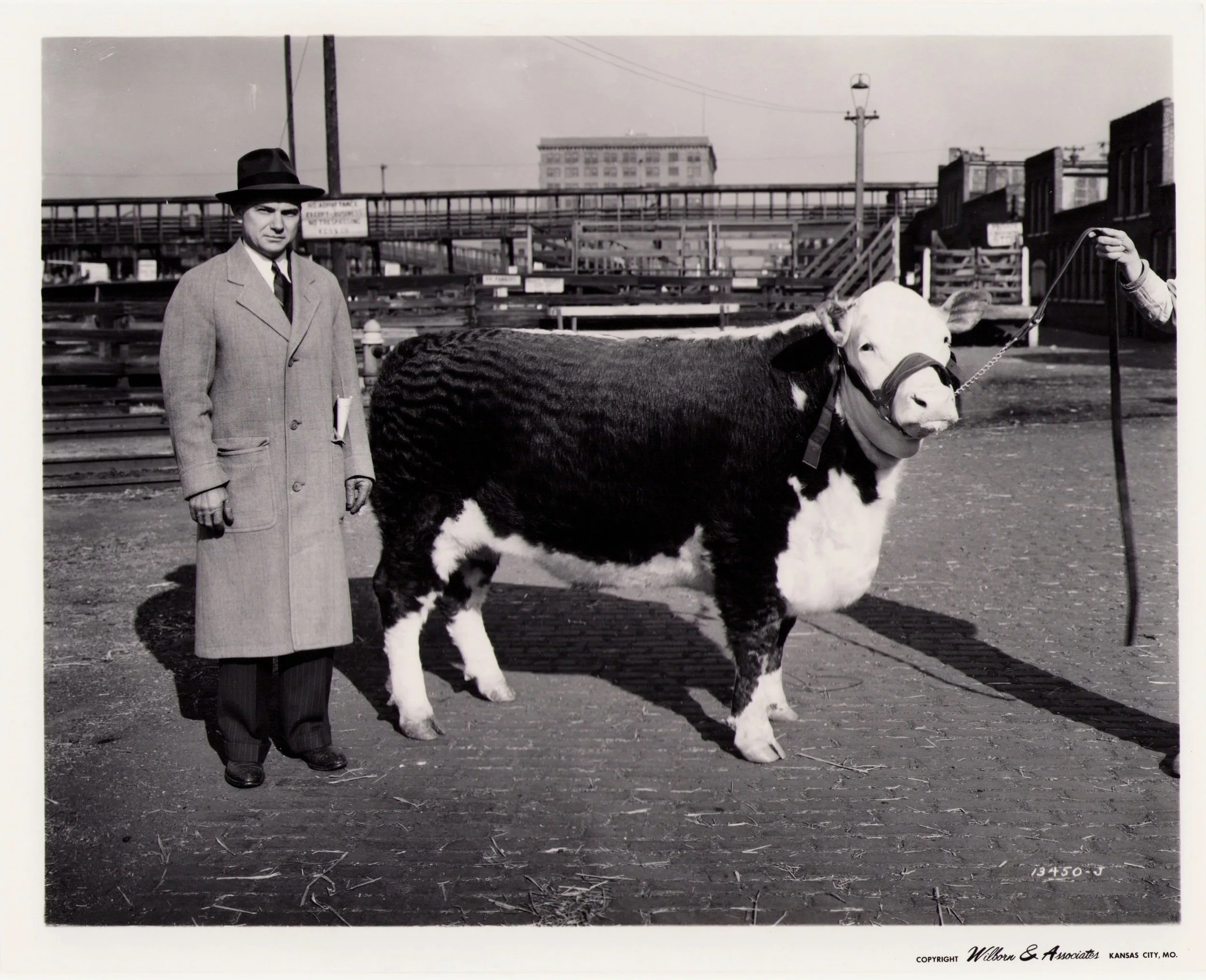Kansas-City-Stock-Yards_Live-Stock-Exchange_West-Bottoms_Historic-Image_020.jpg