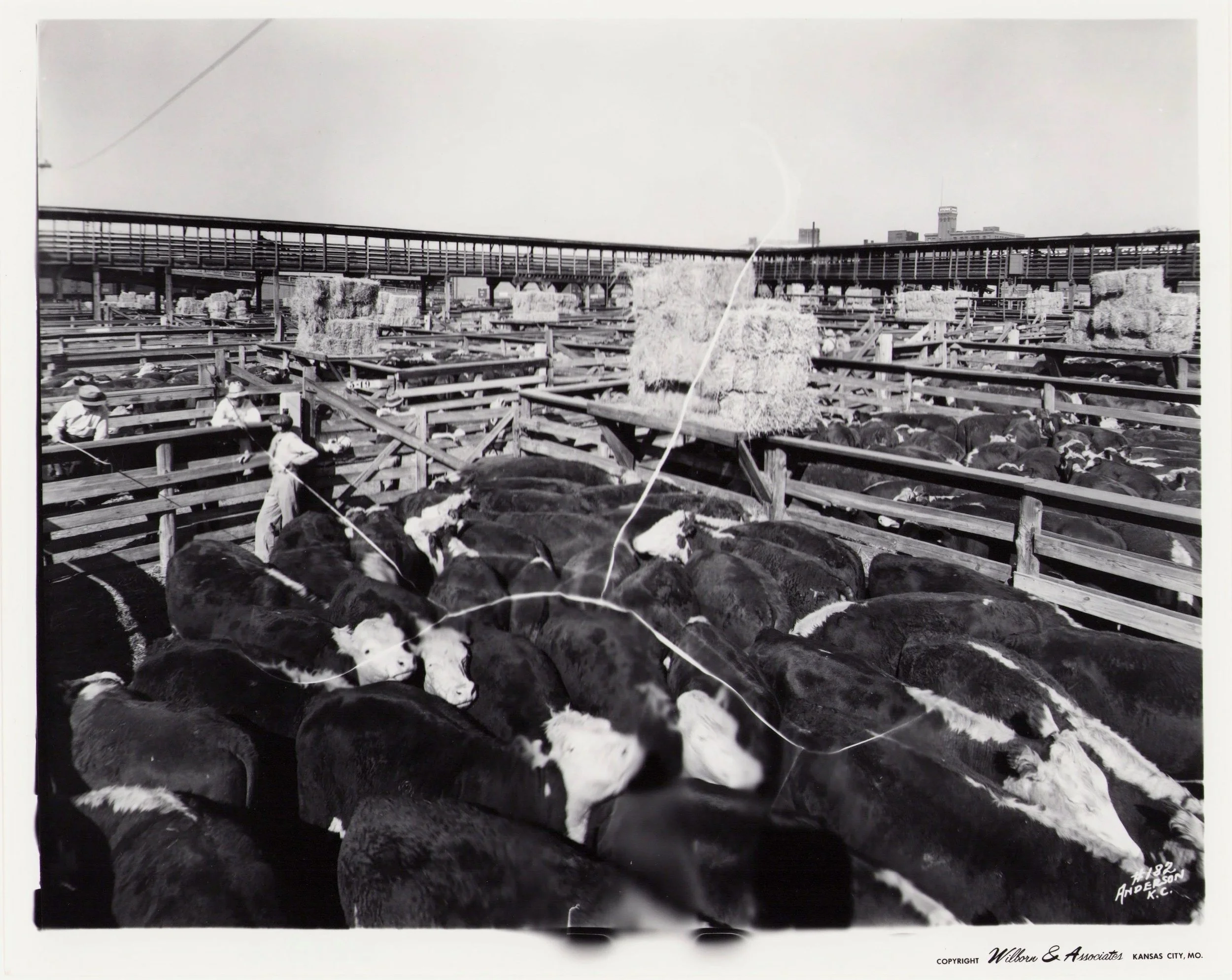 Kansas-City-Stock-Yards_Live-Stock-Exchange_West-Bottoms_Historic-Image_026.jpg