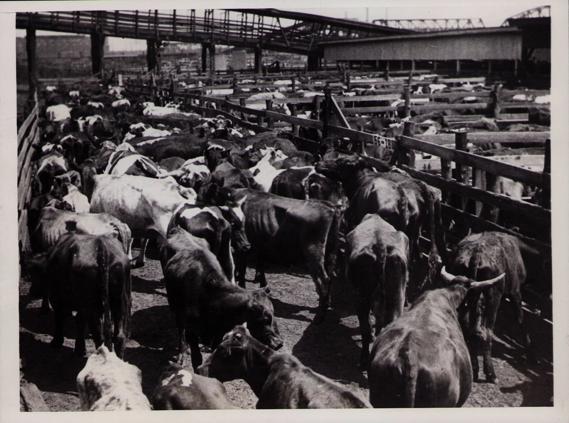 Kansas-City-Stock-Yards_Live-Stock-Exchange_West-Bottoms_Historic-Image_035.jpeg