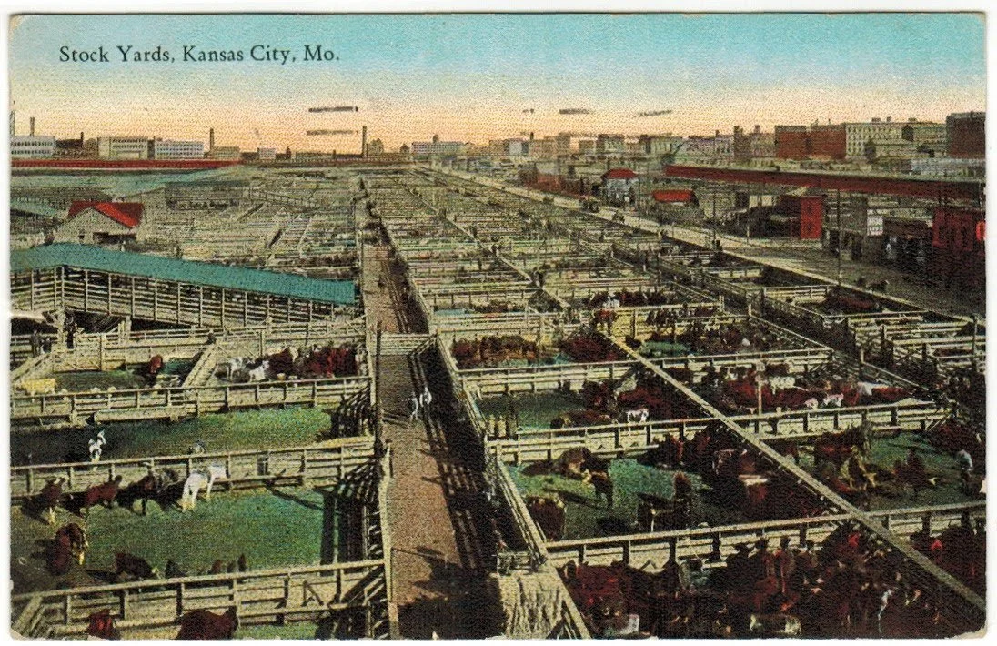 Livestock Exchange Building - Postcard 28.0.jpeg
