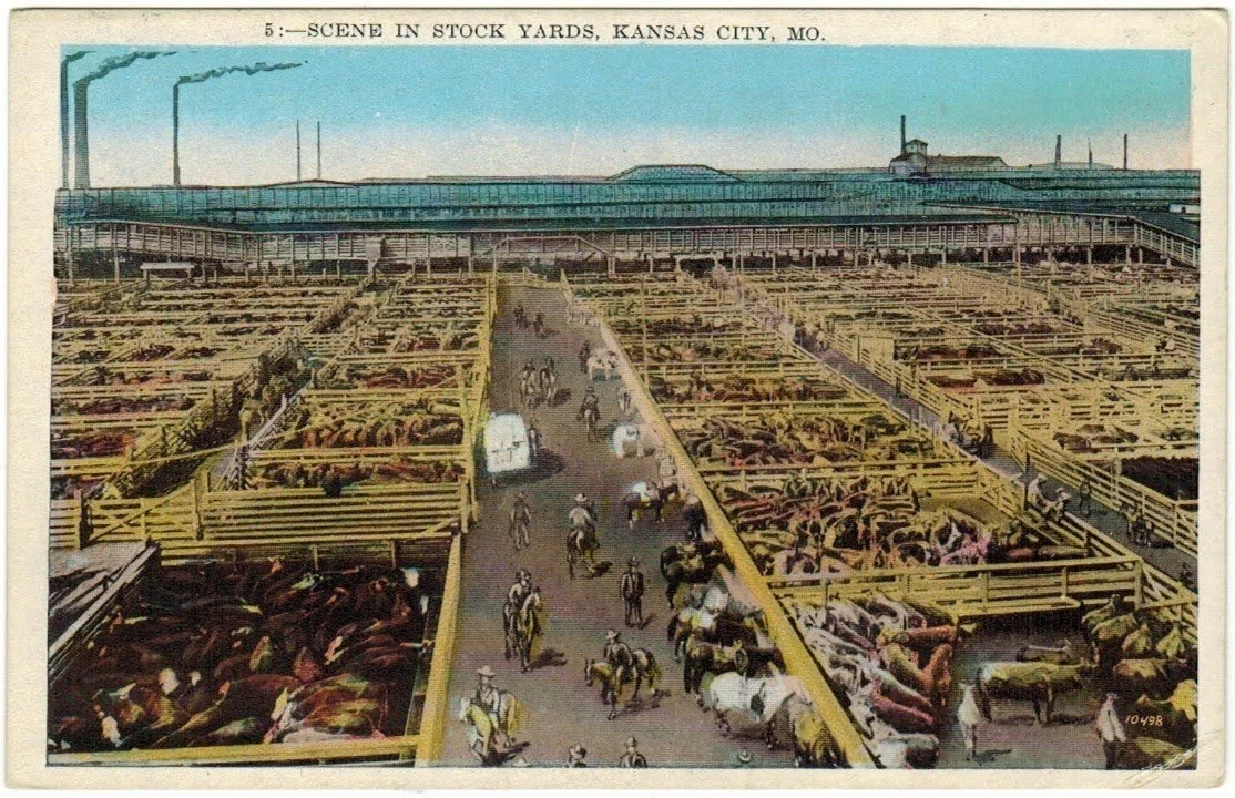 Livestock Exchange Building - Postcard 29.jpeg