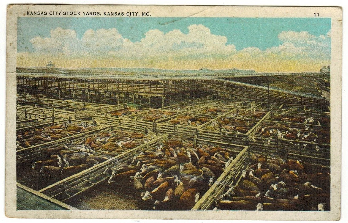 postcard 104.jpeg