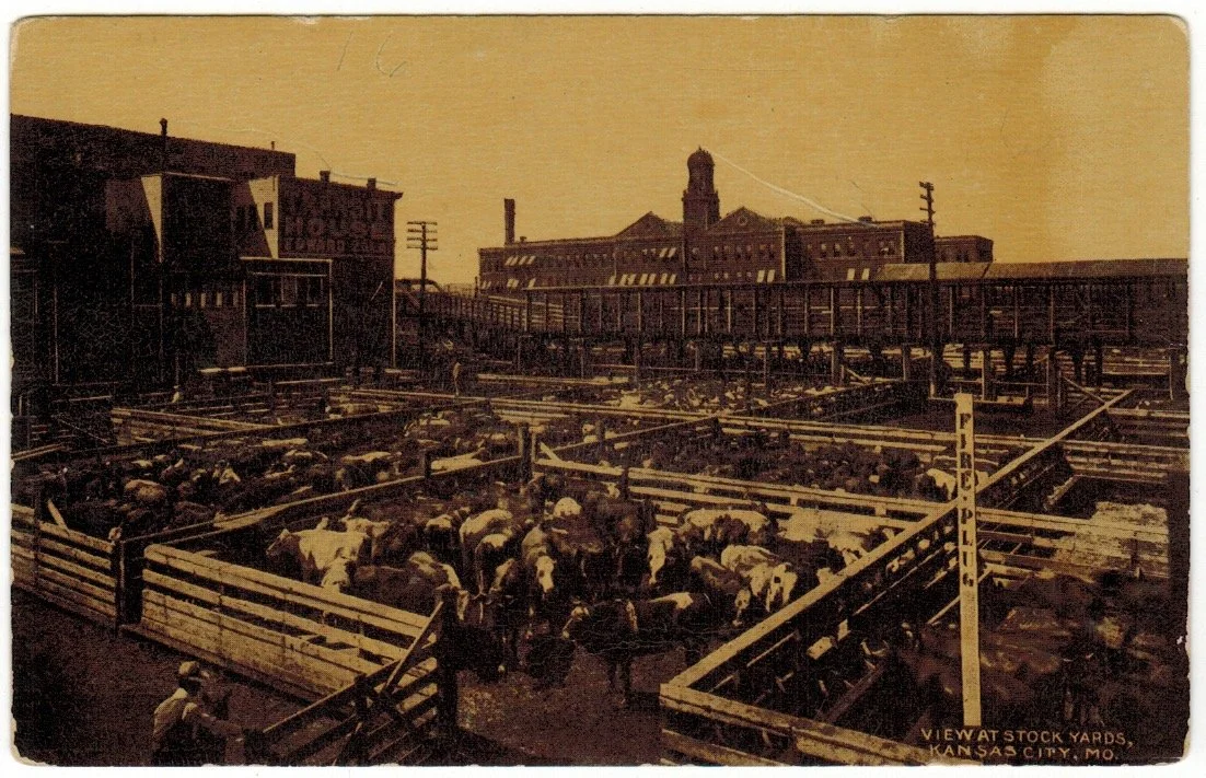 Livestock Exchange Building - Postcard 2016.jpeg