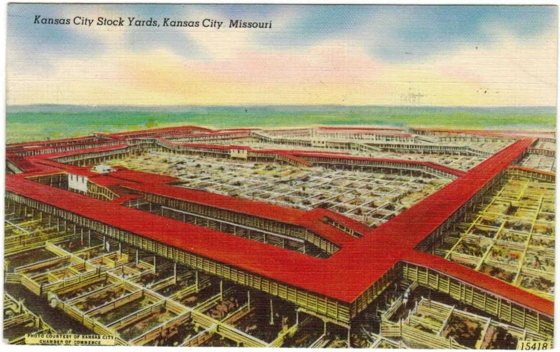 Livestock Exchange Building - Postcard 26.0.jpeg