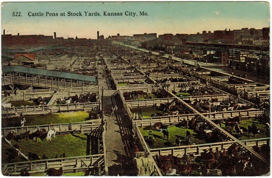 Livestock Exchange Building - Postcard 24.0.jpeg