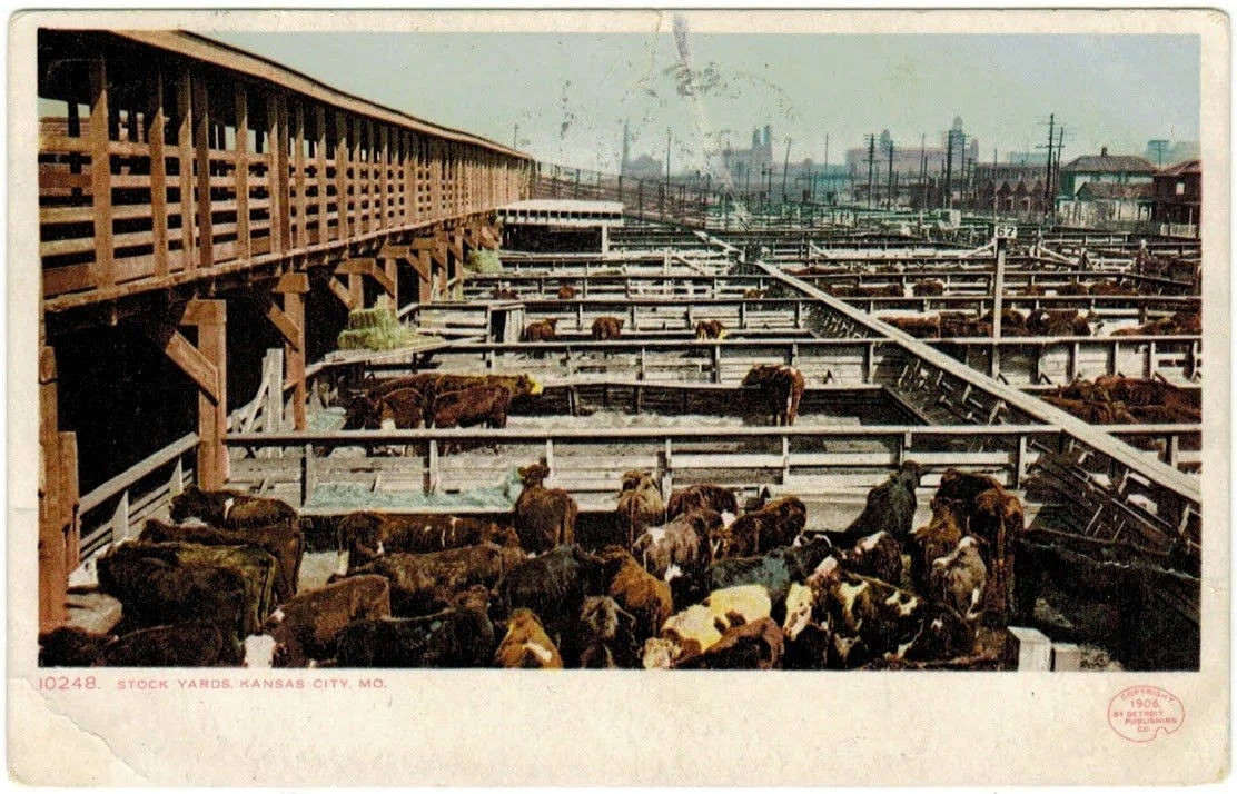 Livestock Exchange Building - Postcard 27.0.jpeg