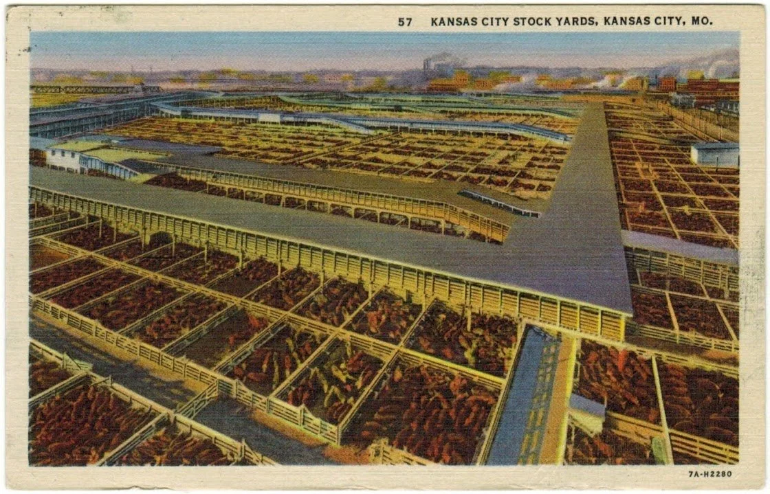 Livestock Exchange Building - Postcard 21.0.jpeg