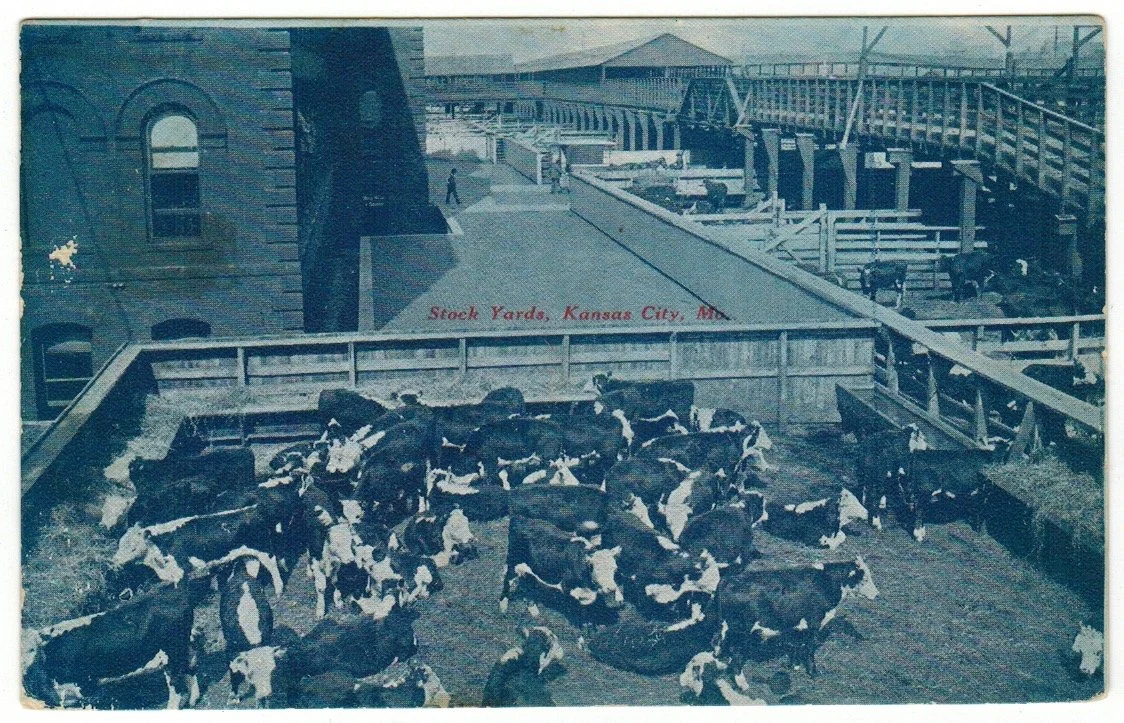 Livestock Exchange Building - Postcard 2005.jpeg