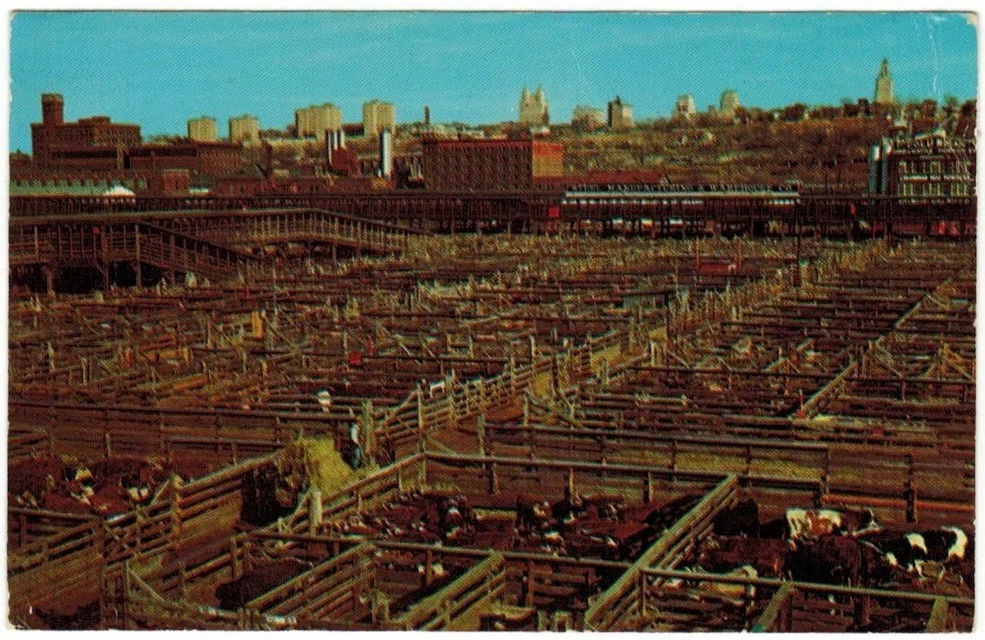 Livestock Exchange Building - Postcard 25.0.jpeg