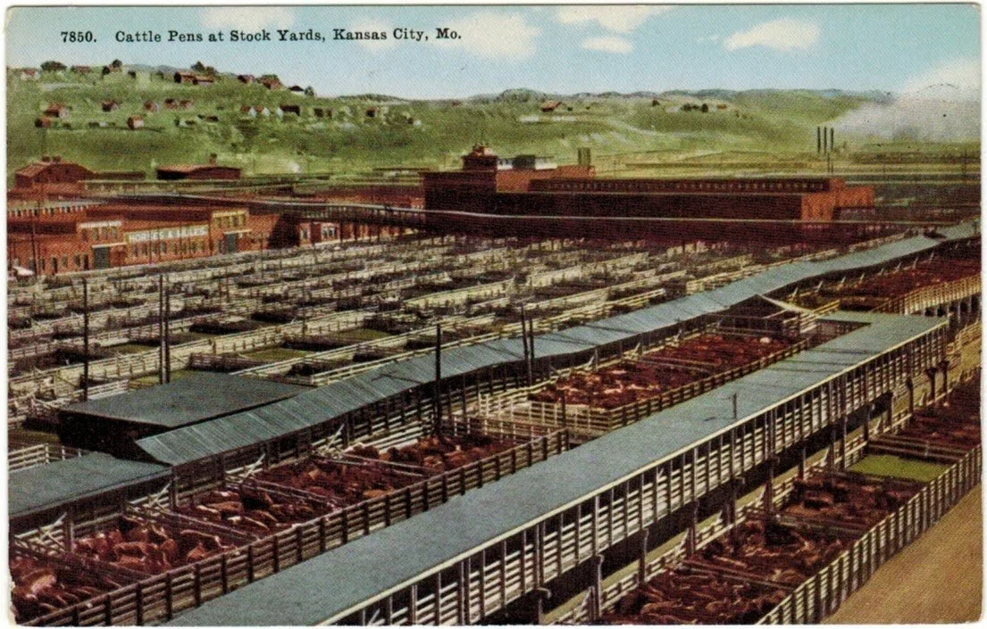 Livestock Exchange Building - Postcard 22.jpeg