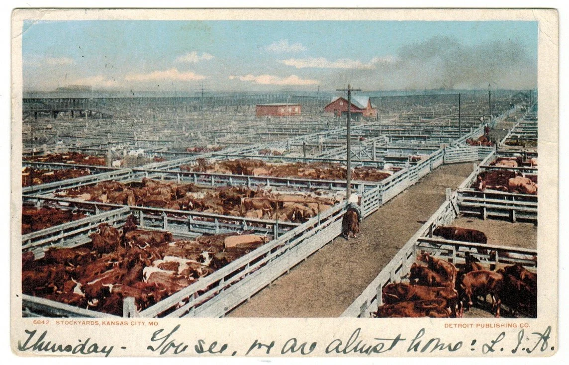 postcard 102.jpeg