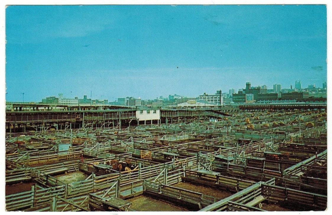 Livestock Exchange Building - Postcard 2007.jpeg