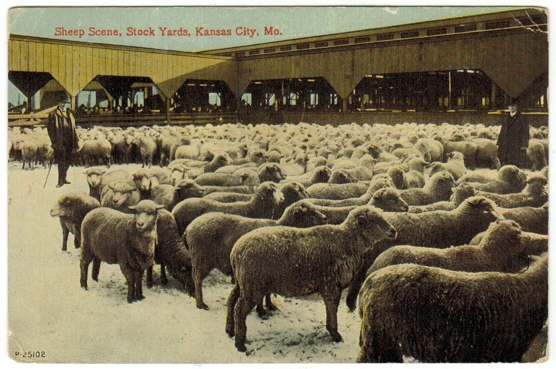 Livestock Exchange Building - Postcard 2016.jpeg