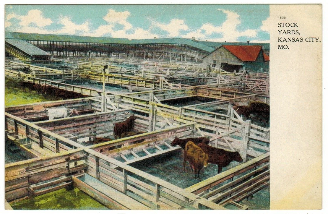 Livestock Exchange Building - Postcard 2011.jpeg