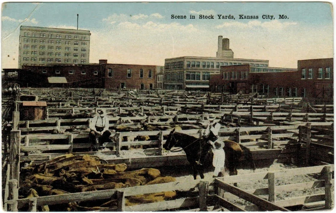 Livestock Exchange Building - Postcard 20.jpeg