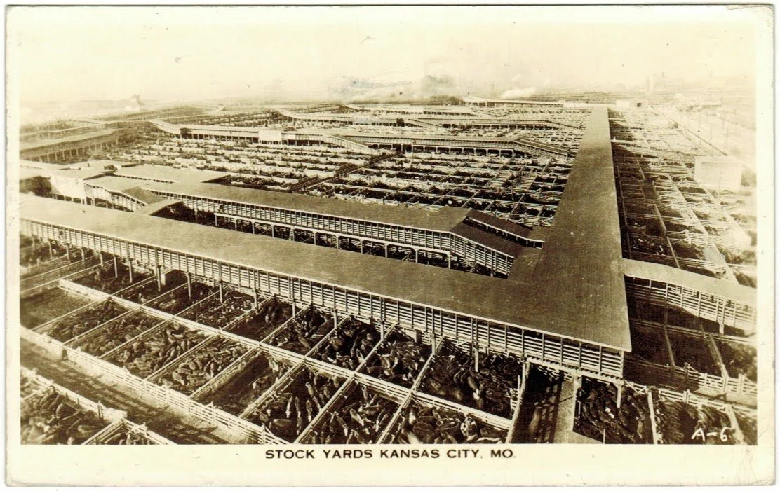 Livestock Exchange Building - Postcard 23.0.jpeg