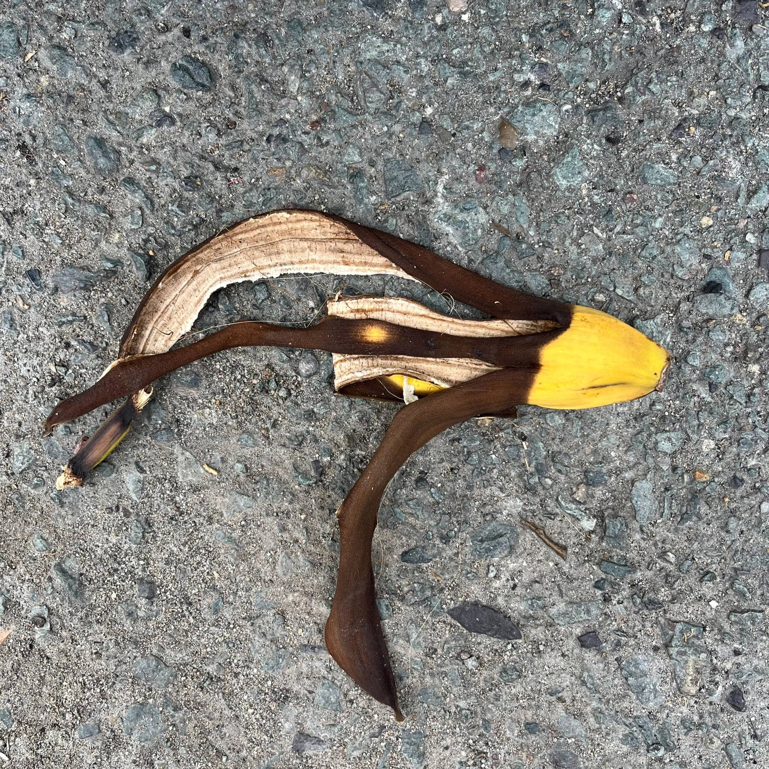 north park, san diego, may 24