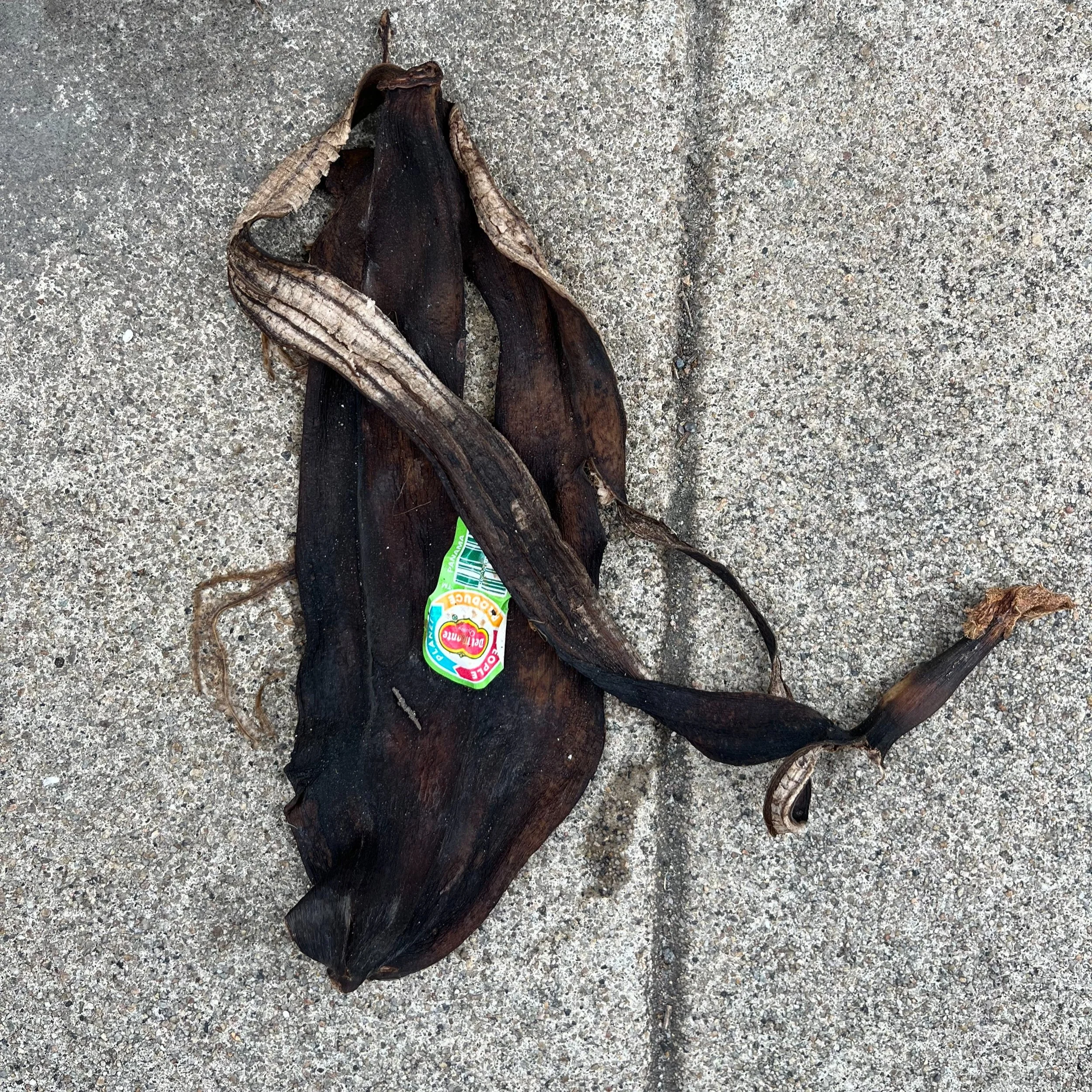 north park, san diego, june 23