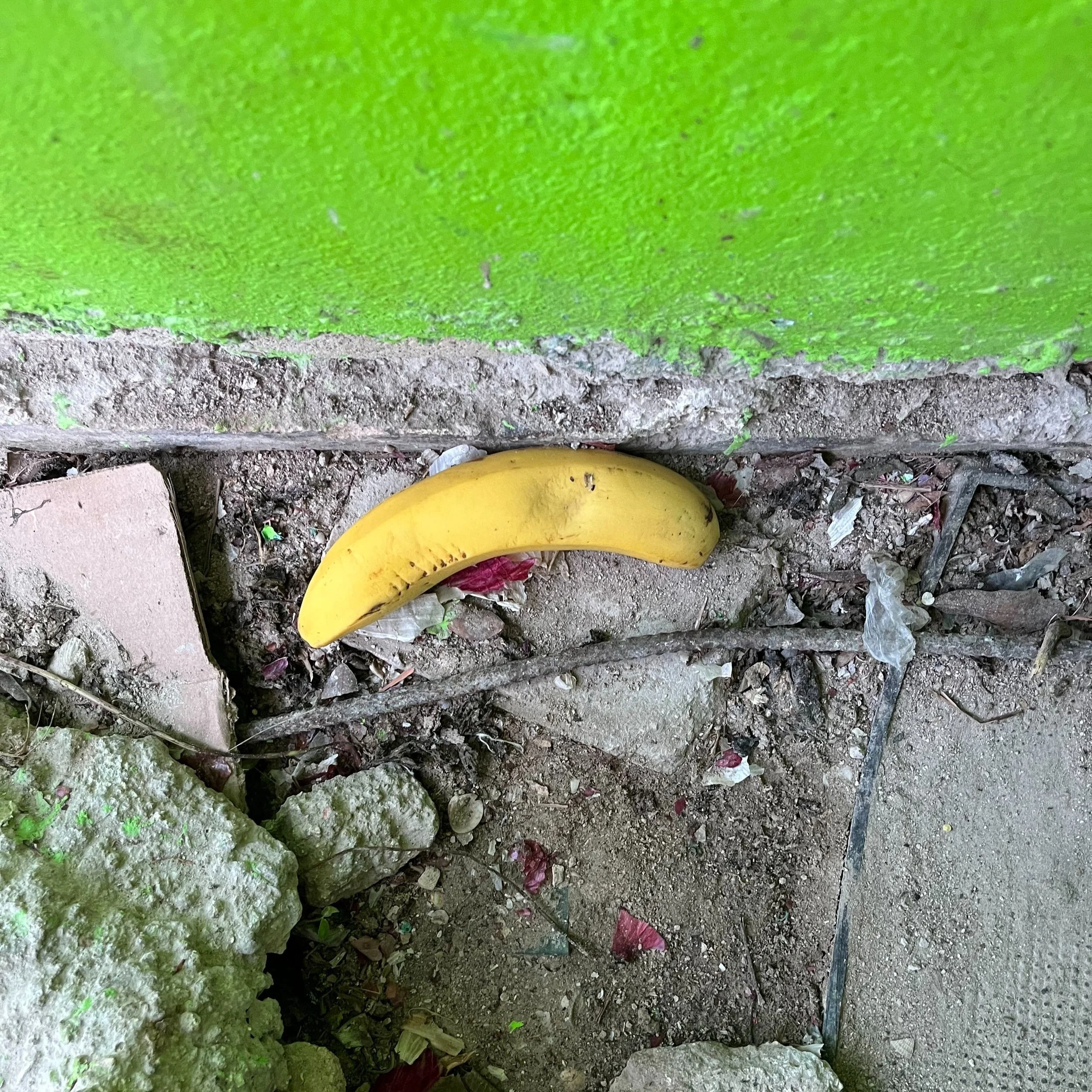 isla holbox, mexico, july 23