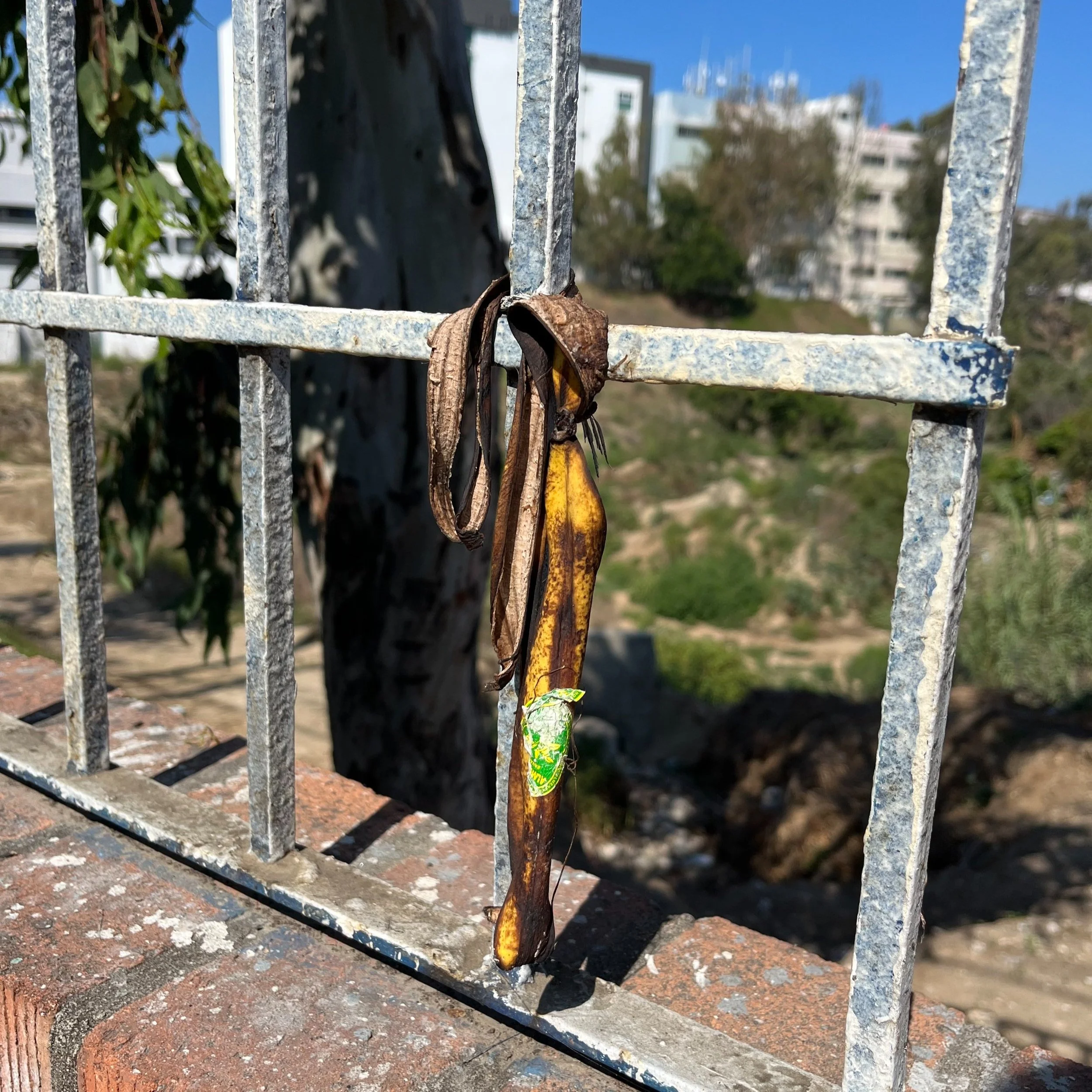 tijuana, mexico, sep 23