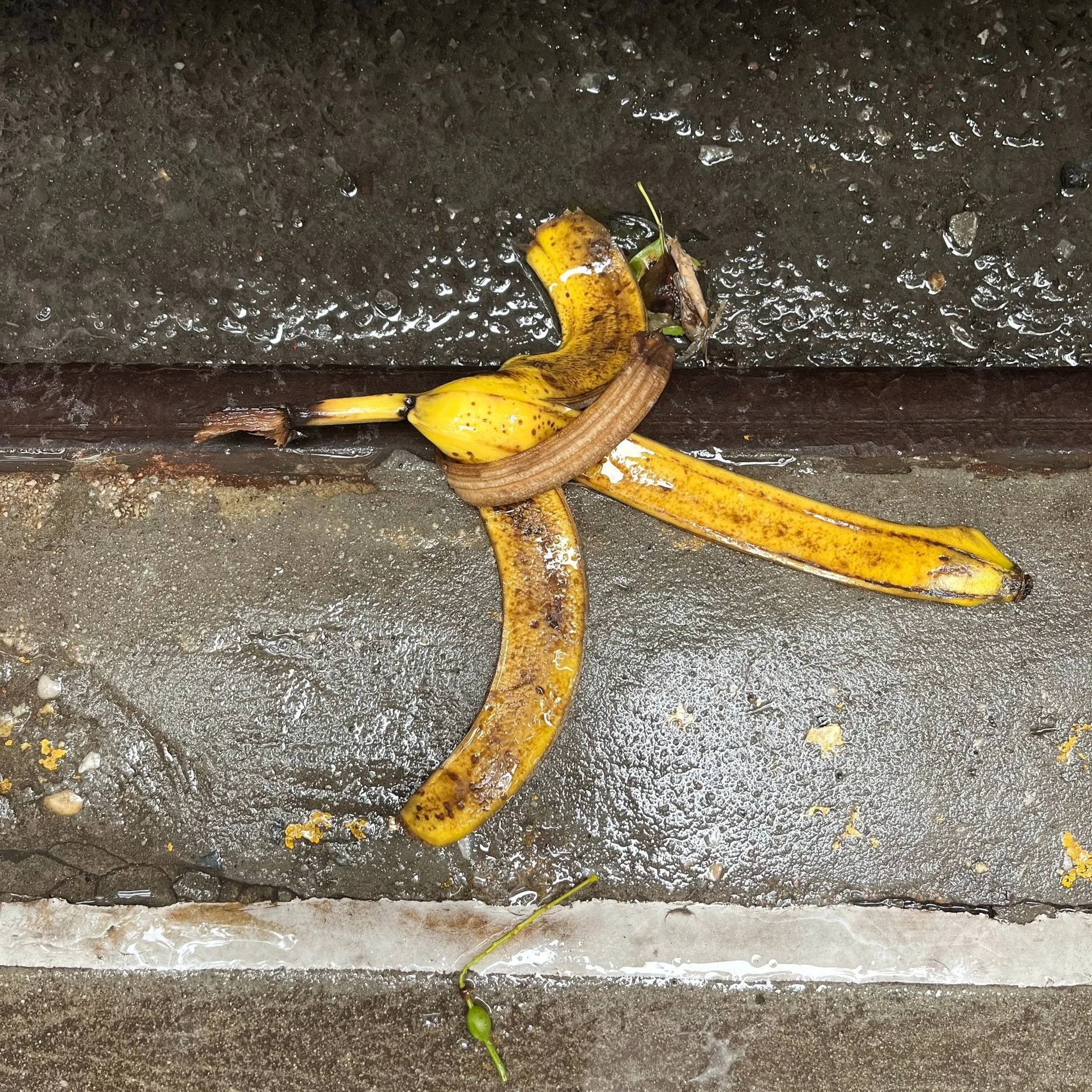 manhattan, nyc, sep 23