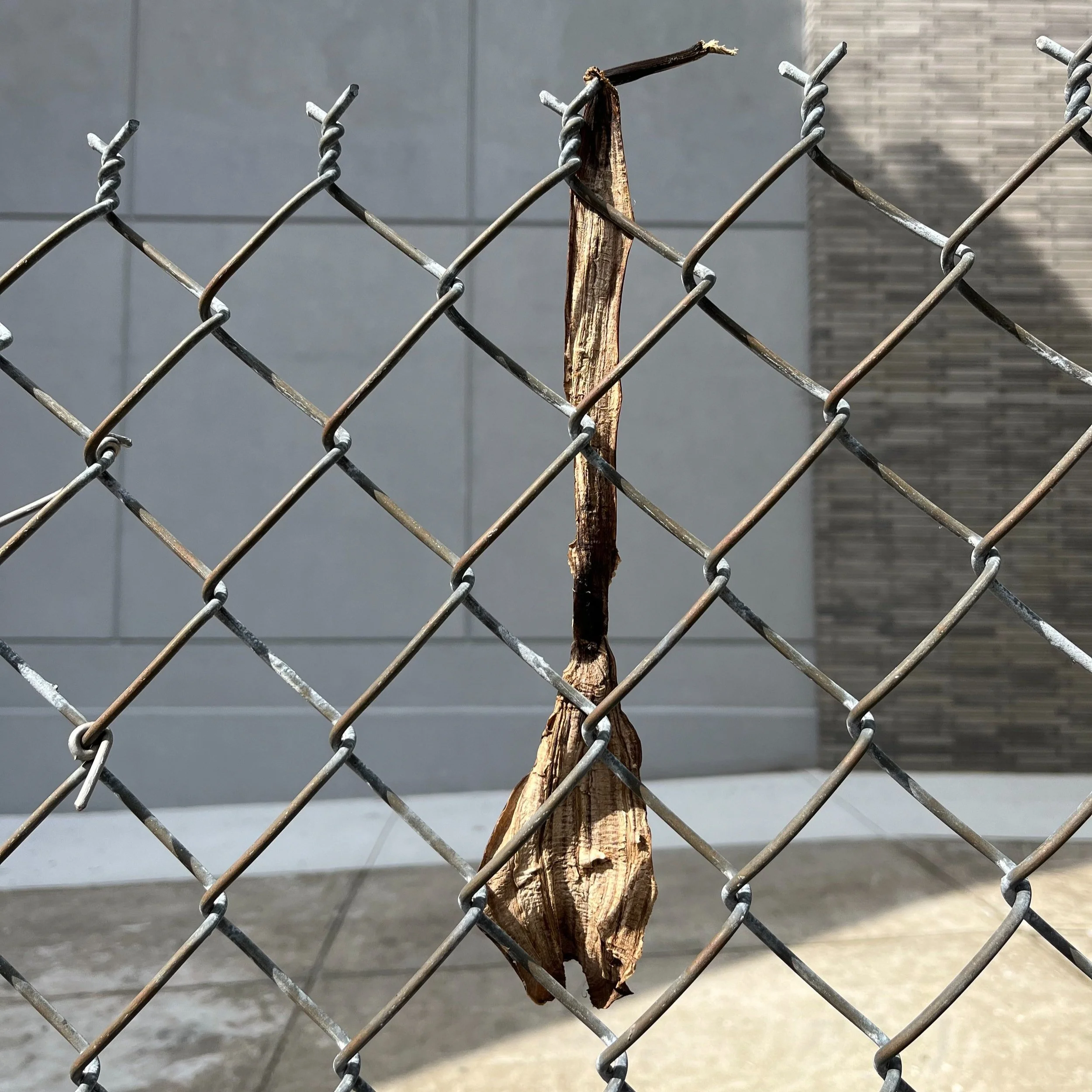 brooklyn, nyc, sep 23