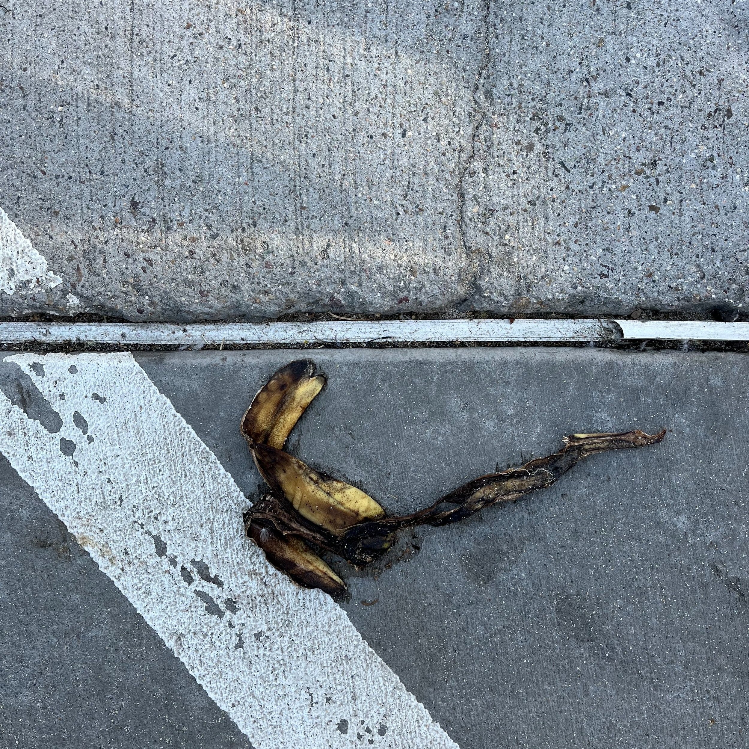 la jolla, california, nov 23