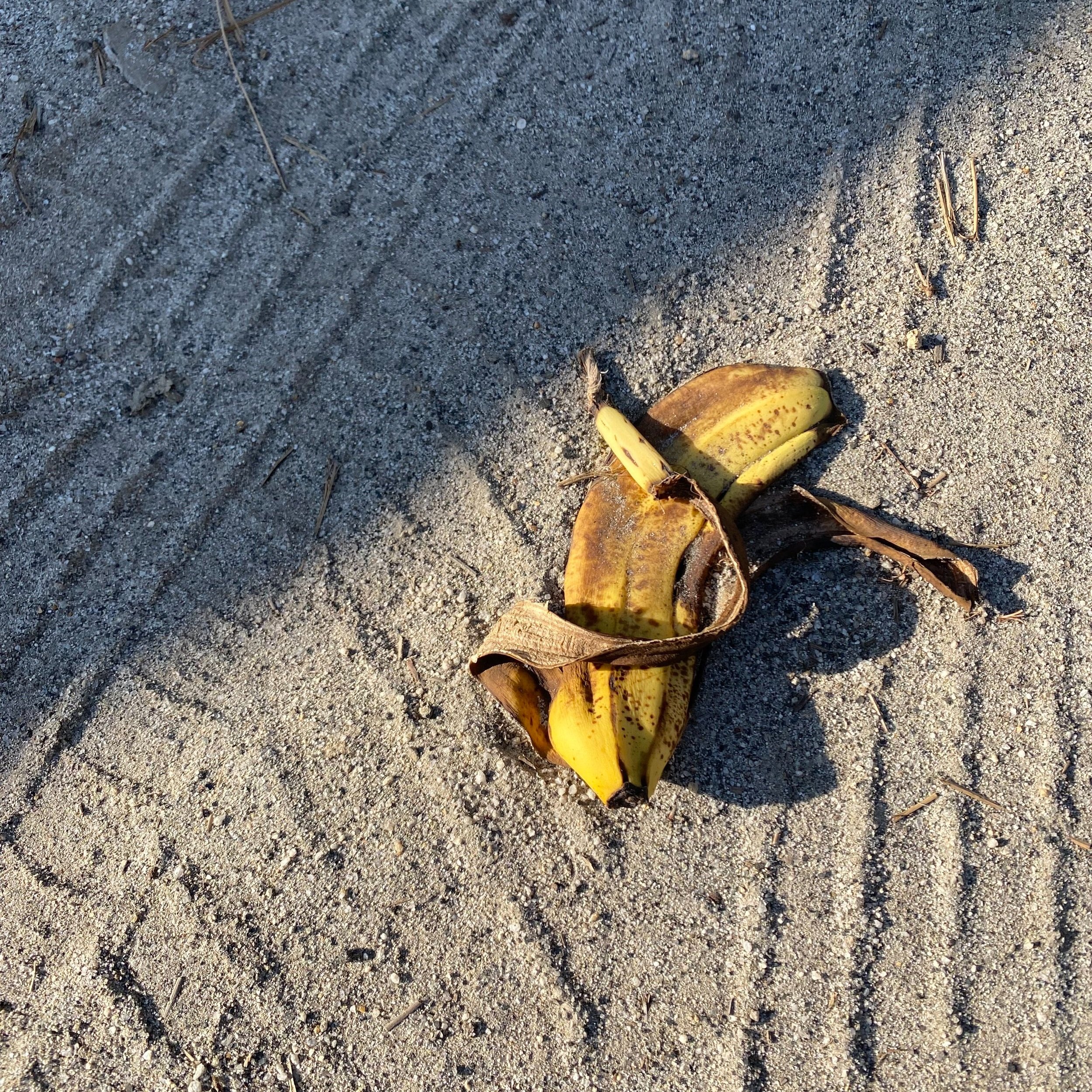 idyllwild, california, may 23