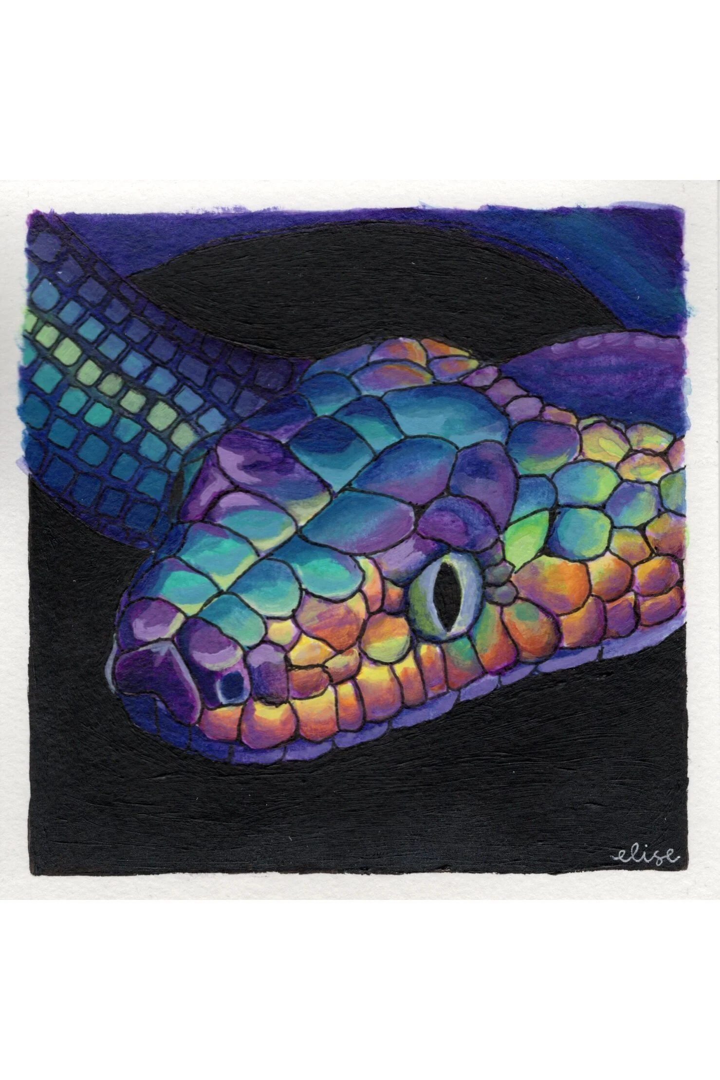 Rainbow Snake Print