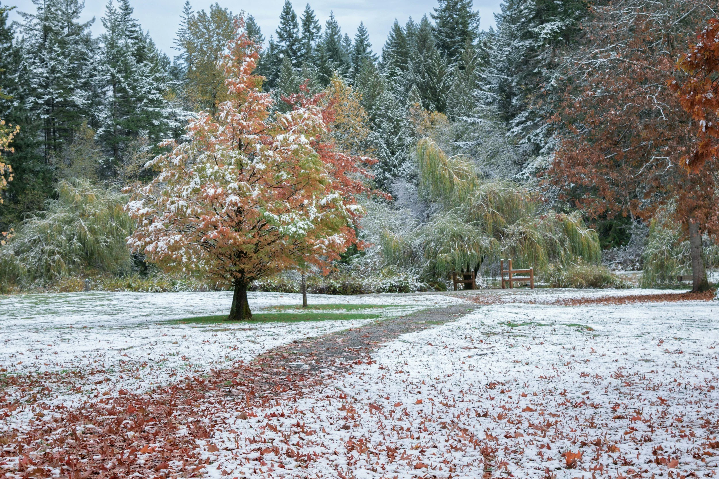 Strata Snow Removal in Coquitlam: Common Mistakes and How to Avoid Them